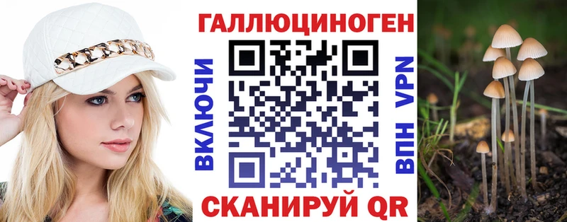 Псилоцибиновые грибы прущие грибы  Балей 